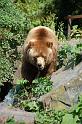 dierentuin emmen_0969